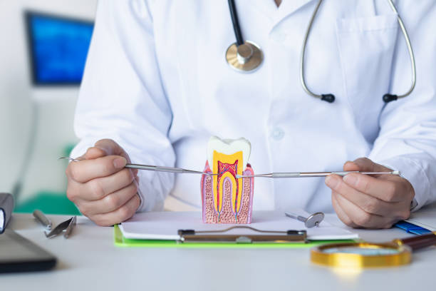Best Emergency Root Canal Treatment in Albany, CA